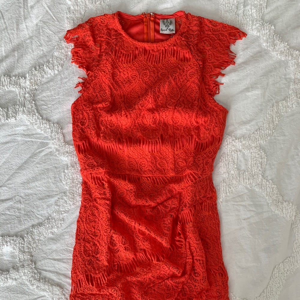 Angel Biba Dress